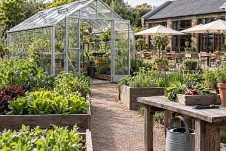Planera ett växthus för restaurangens köksträdgård